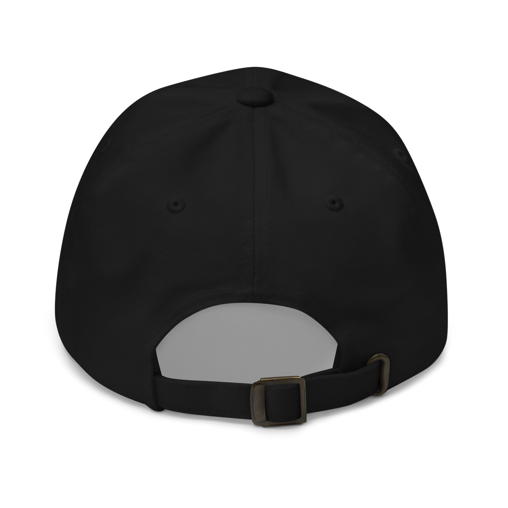 Fly Above The Ordinary Hat
