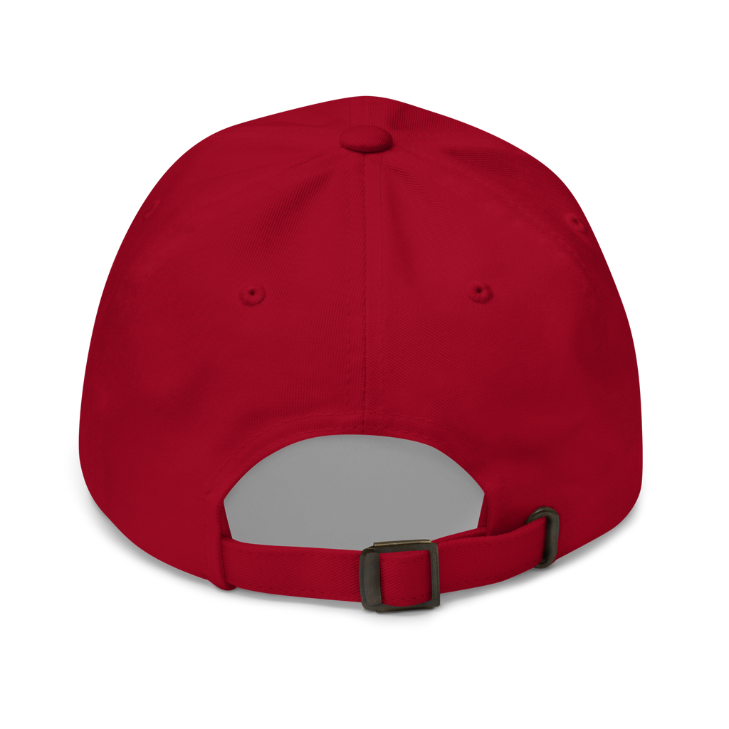 Fly Above The Ordinary Hat