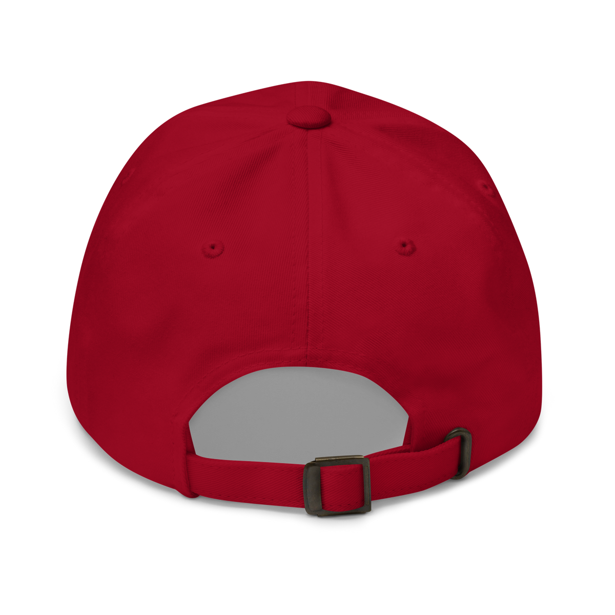 Fly Above The Ordinary Hat
