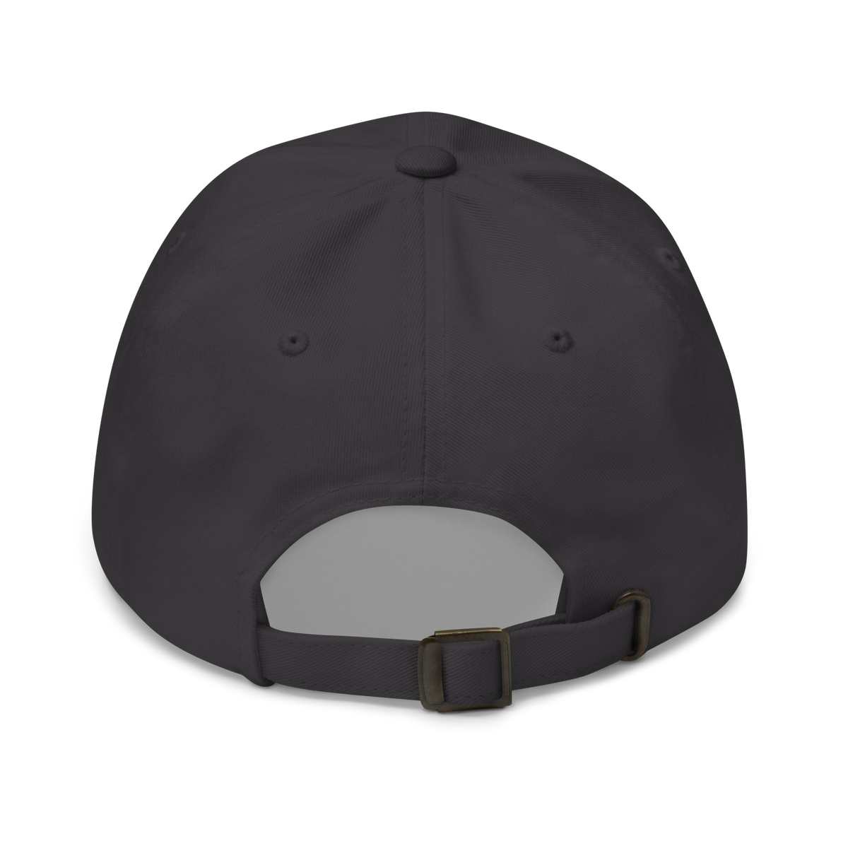 Fly Above The Ordinary Hat