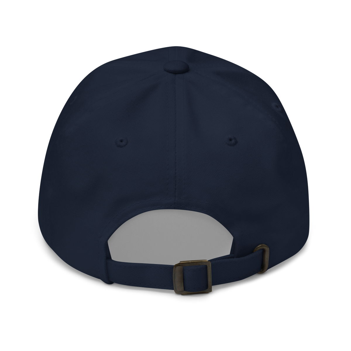 Fly Above The Ordinary Hat
