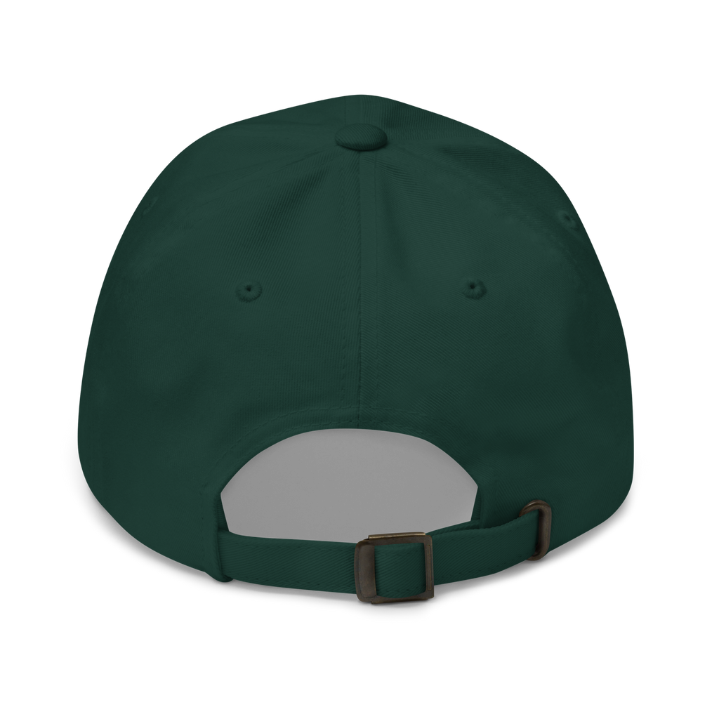 Fly Above The Ordinary Hat