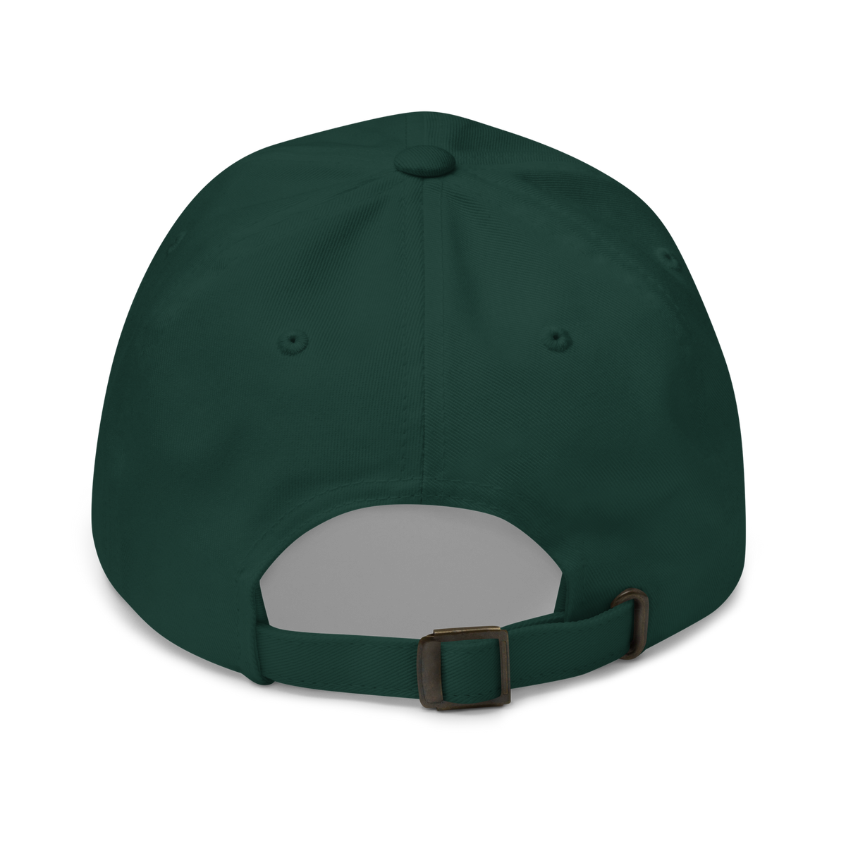 Fly Above The Ordinary Hat