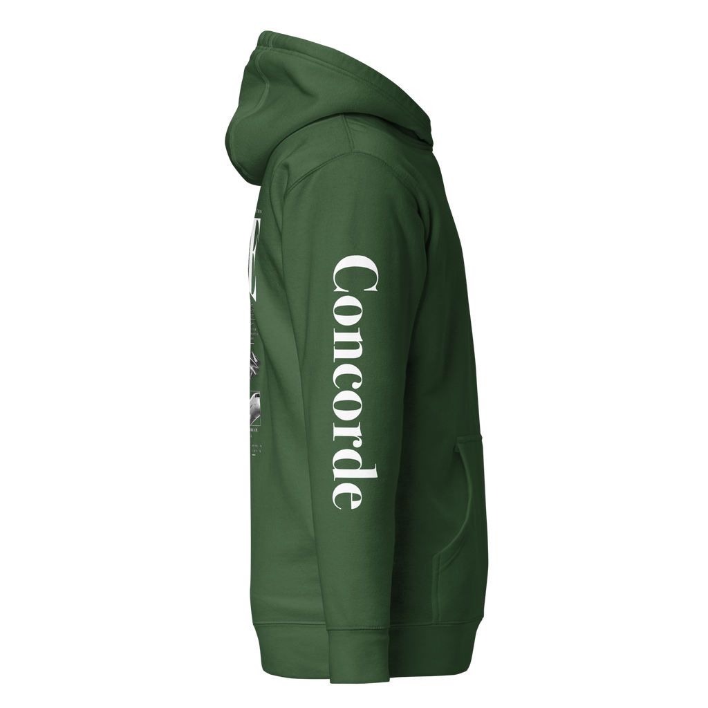 Concorde Fly Above The Ordinary Hoodie
