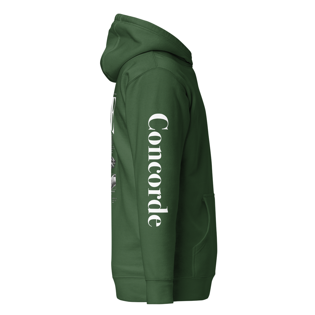 Concorde Fly Above The Ordinary Hoodie