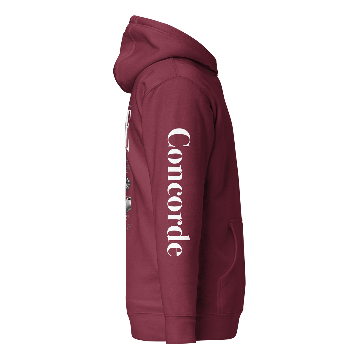 Concorde Fly Above The Ordinary Hoodie